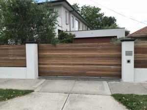 Spotted gum on render